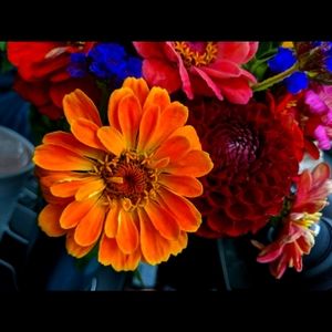 Meet your Posher, Tina